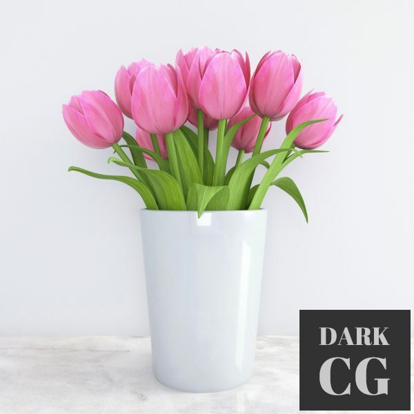 3D Model White vase with pink tulips