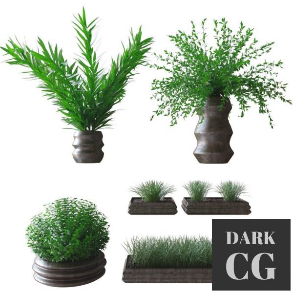 3D Model Plants in pots