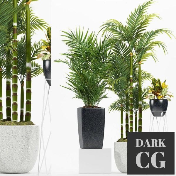 3D Model Plants 174