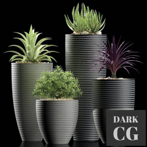 3D Model Plants 106
