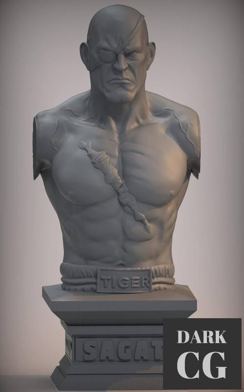 Sagat bust – 3D Print