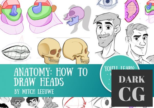 Anatomy – How to Draw the Heads (PDF)
