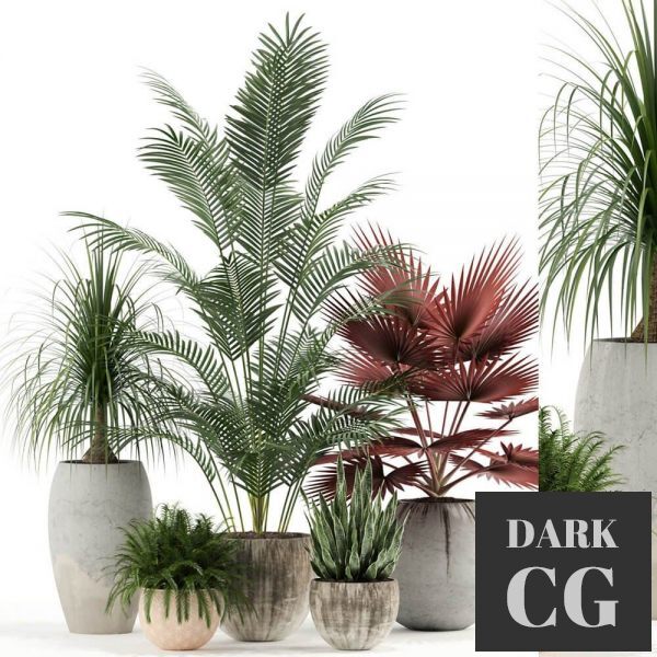3D Model Plants collection 122