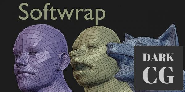 Blender Market Softwrap Dynamics For Retopology v2 1 1