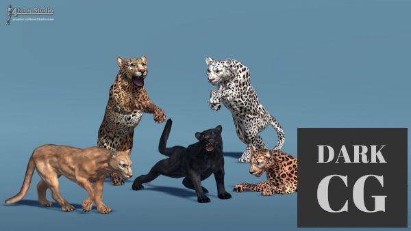 Unity Asset Store Big Cats Bundle 3 pcs