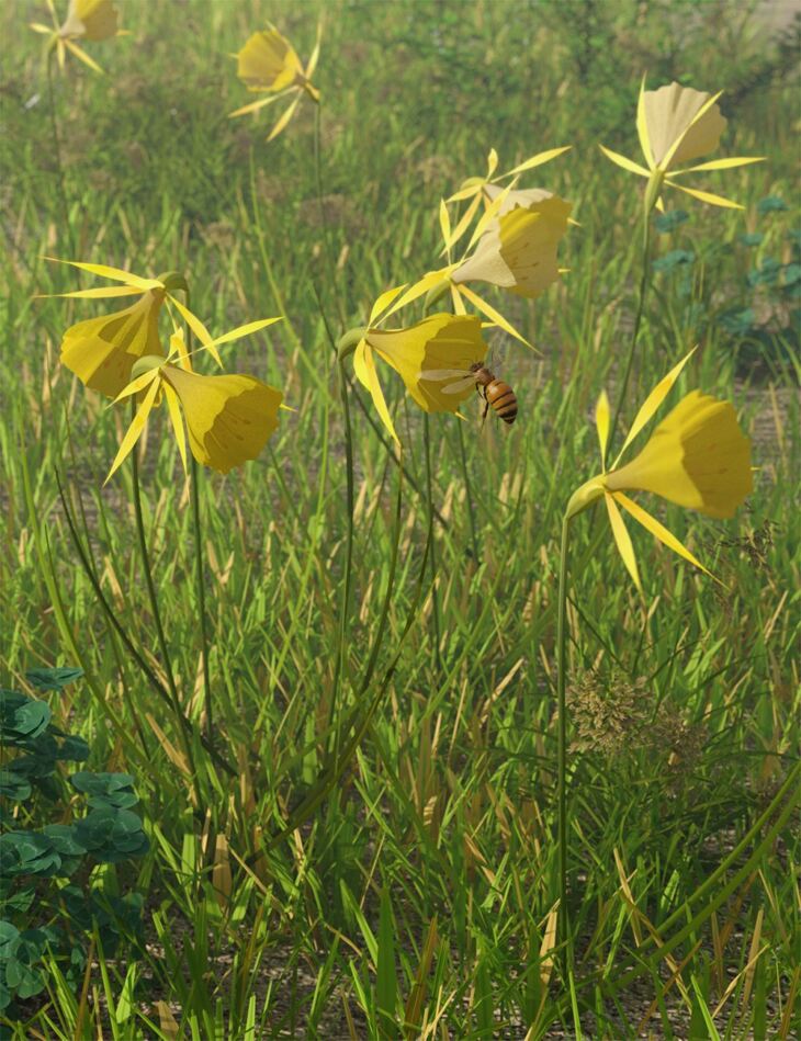 Tiny Plants