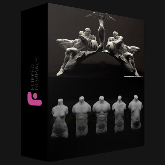 Flipped Normals Fundamental Anatomy for Sculptors
