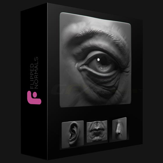 Flipped Normals Sculpting the Facial Features in Zbrush