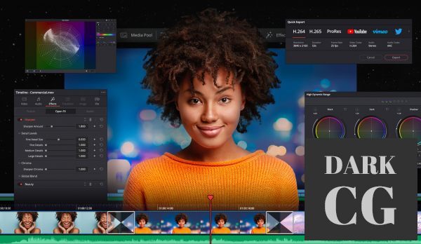 Blackmagic Design DaVinci Resolve Studio v17 4 6 Win Mac x64