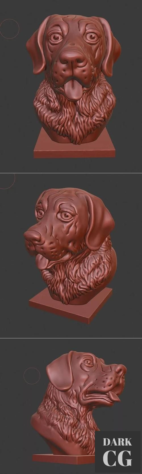 Labrador bust – 3D Print