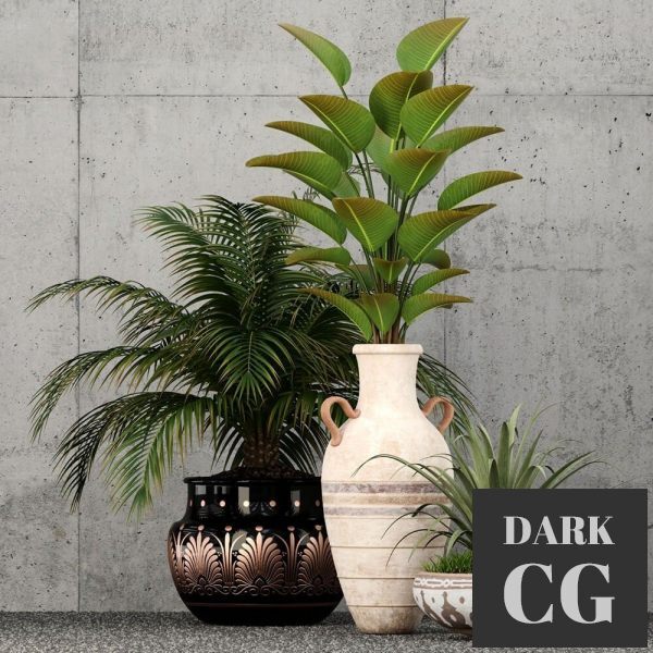 3D Model Plants collection 59