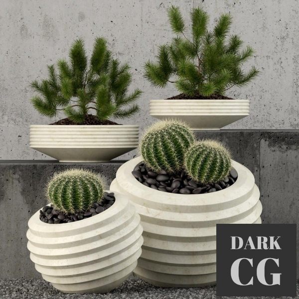 3D Model Plants collection 58