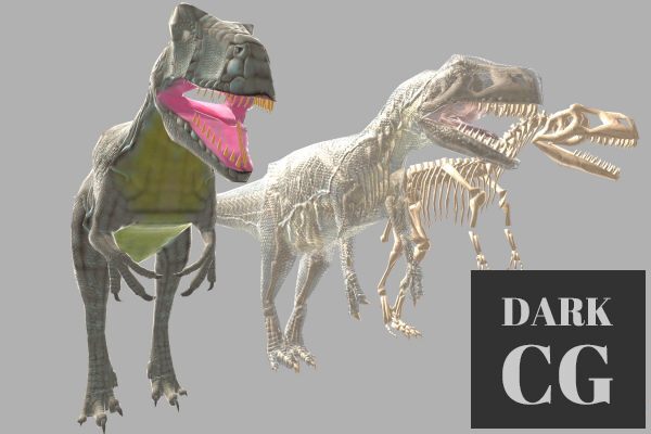 Unity Asset Store – Allosaurus And Skeleton