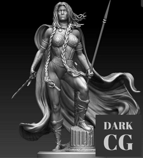 Valkyrie Washed – 3D Print