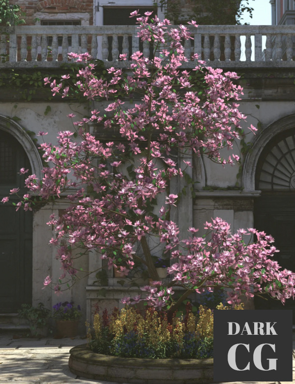 Daz3D, Poser: Magnificent Magnolia Trees