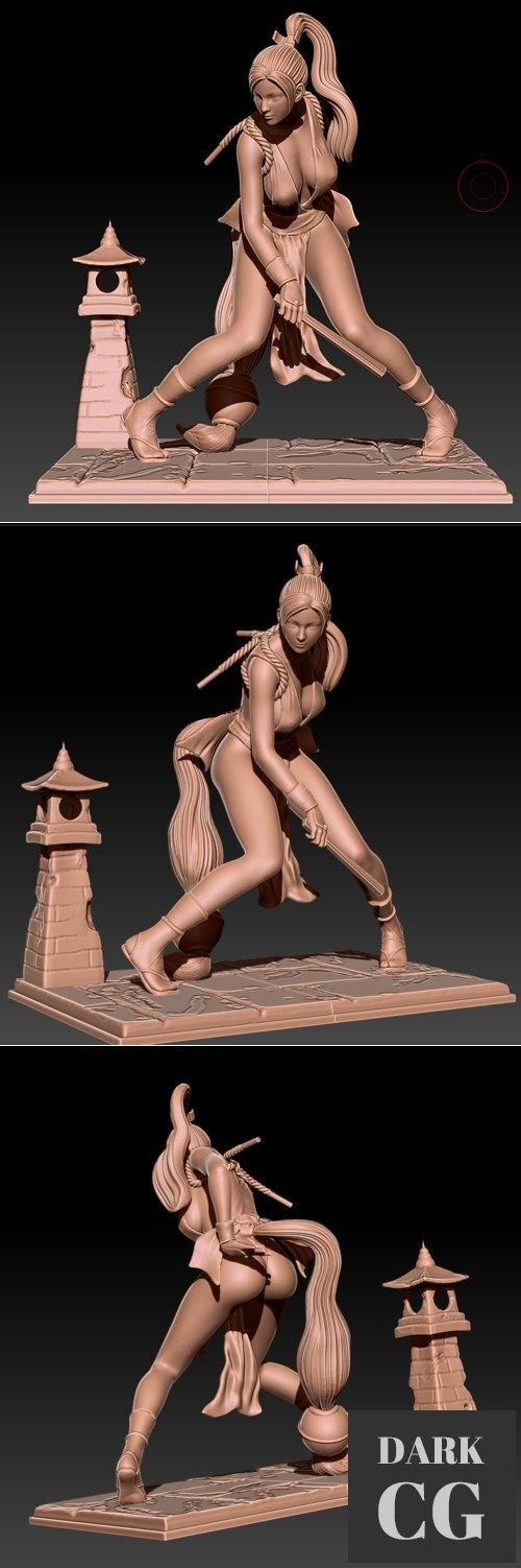 3D Model Mai Shiranui Cut Version 3D Print