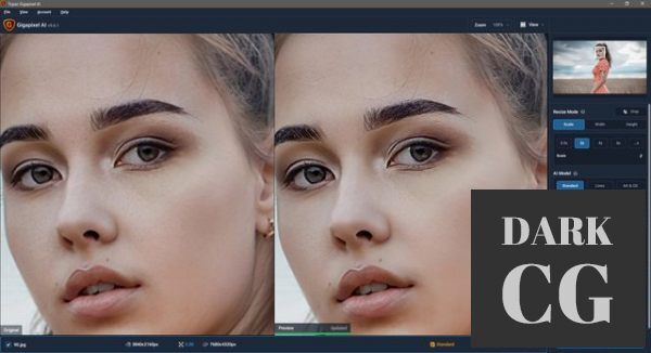 Topaz Gigapixel AI 6 0 0 Win x64