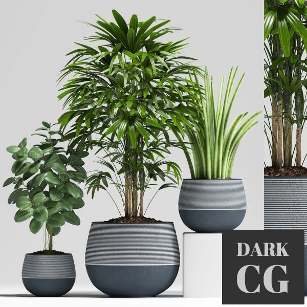 3D Model Plants 194