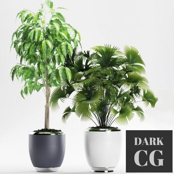 3D Model Plants 139