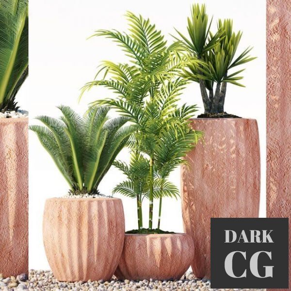 3D Model Plants 201