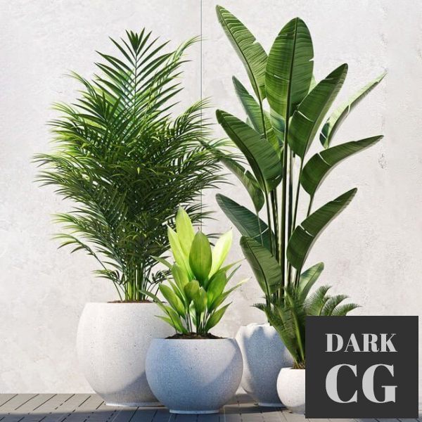 3D Model Plants 208