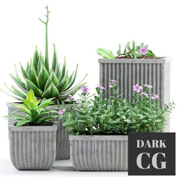 3D Model Plants 209