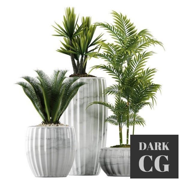 3D Model Plants in Pots 140