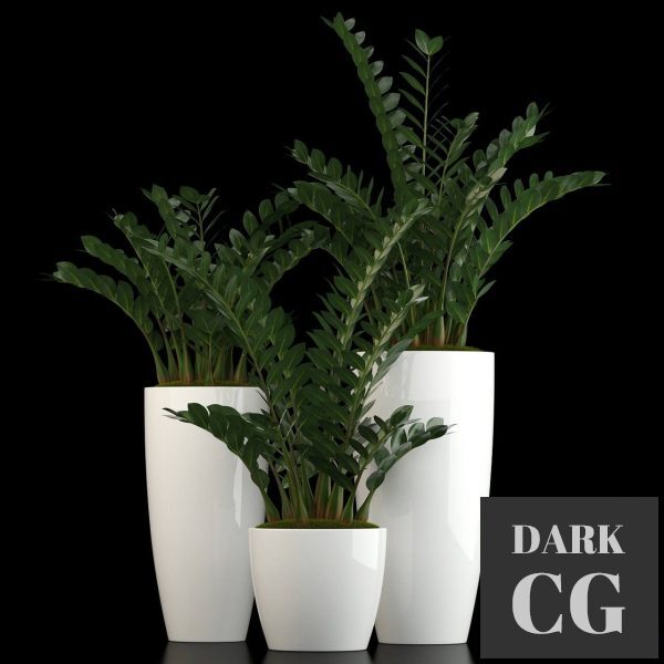 3D Model Plants collection 56