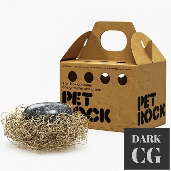 3D Model Pet Rock