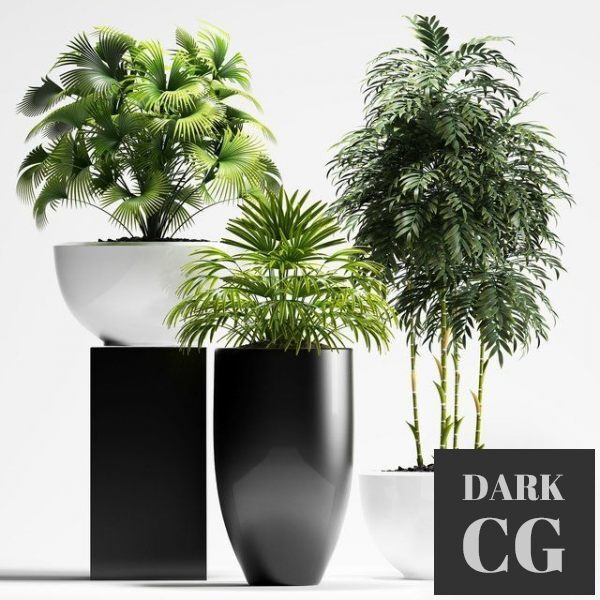 3D Model Plants 195