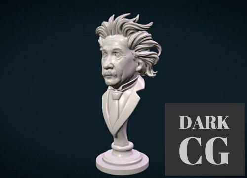 Einstein – 3D Print