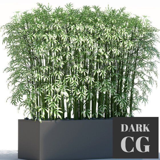3D Model Plants 189