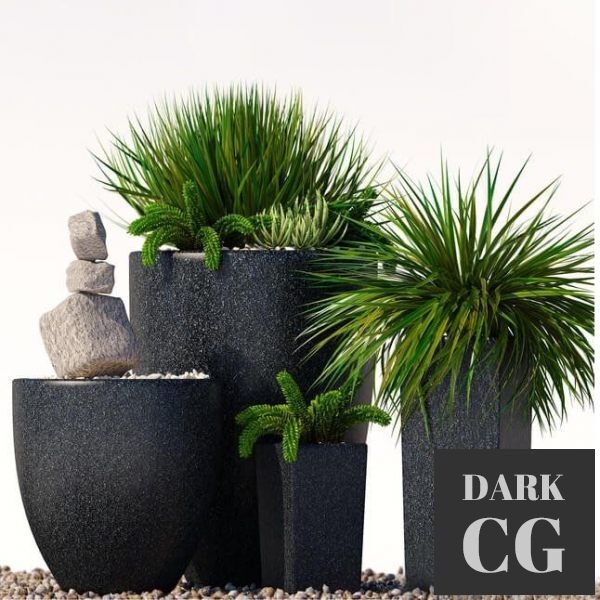 3D Model Plants 202