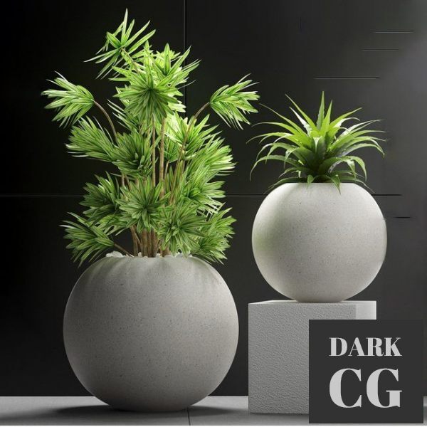 3D Model Plants 196