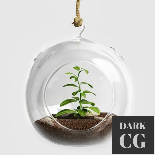 3D Model Terrarium for herbs