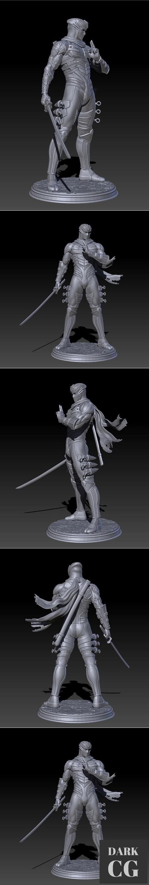 Ryu Hayabusa – 3D Print