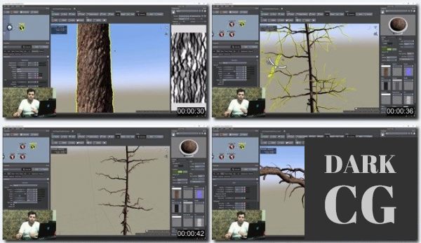 Introduction to Speedtree
