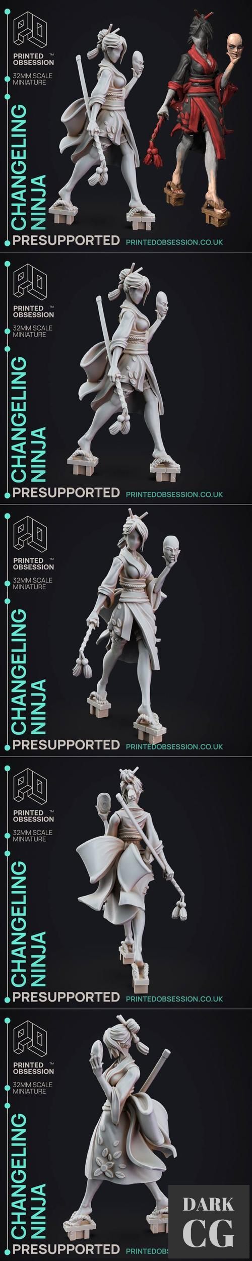Changeling Ninja – 3D Print