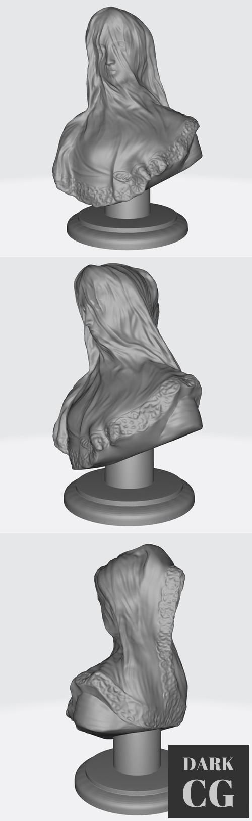 Donna Sotto Velo – 3D Print