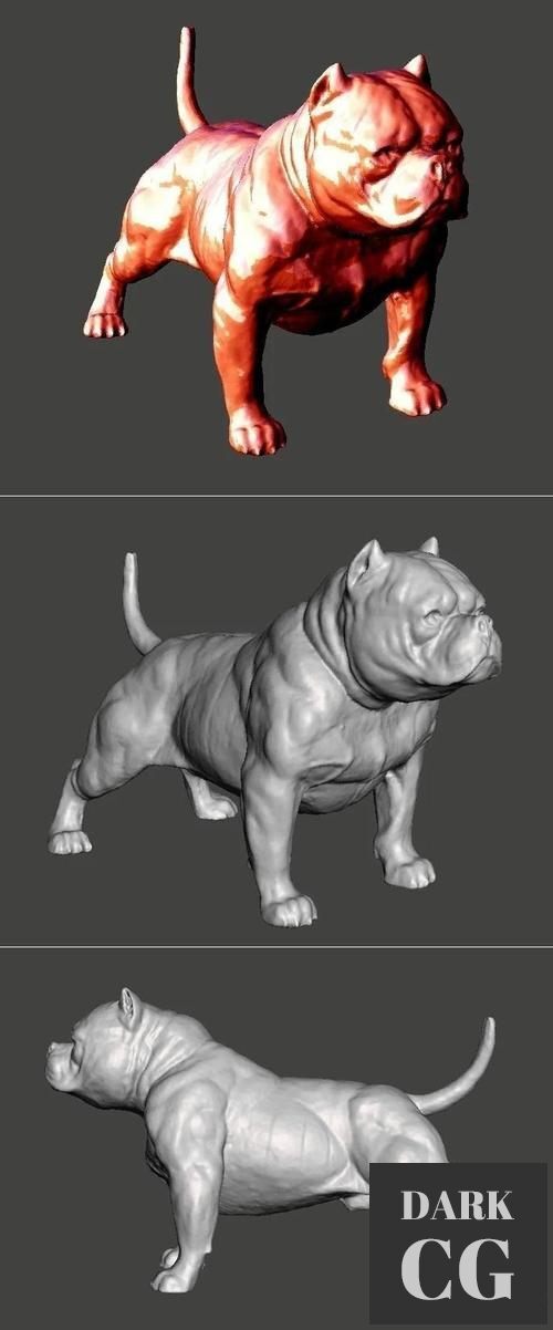 American Bully Dog – 3D Print