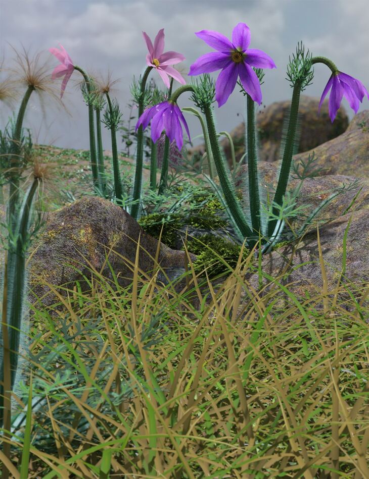 Tiny Flowers