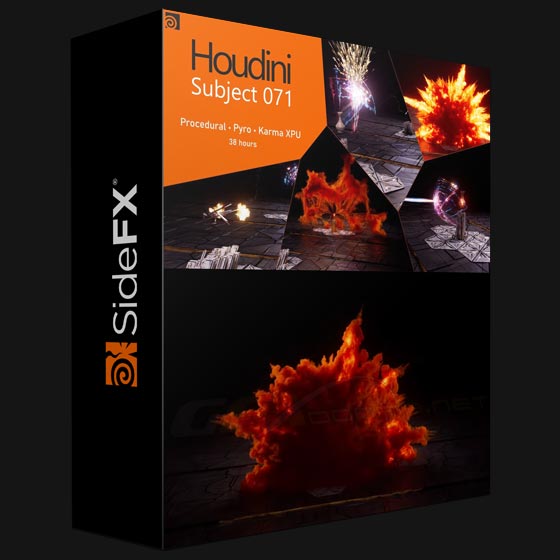 SideFX FFF Houdini Subject 071
