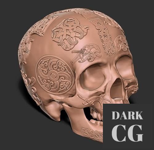 Viking Skull – 3D Print