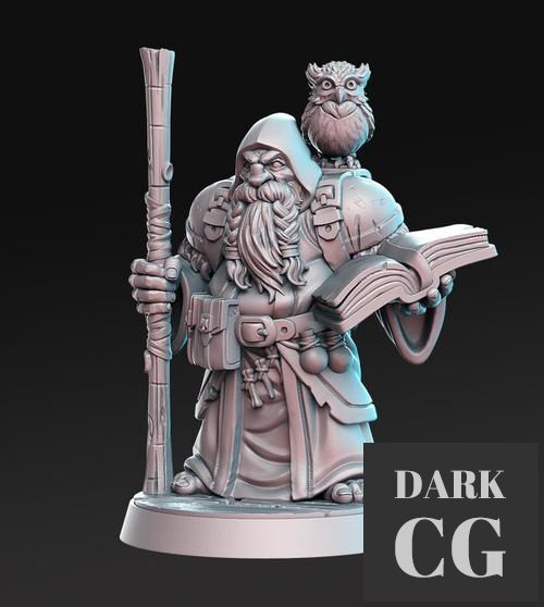 3D Model Dramnir Dwarf Wizard with owl 3D Print