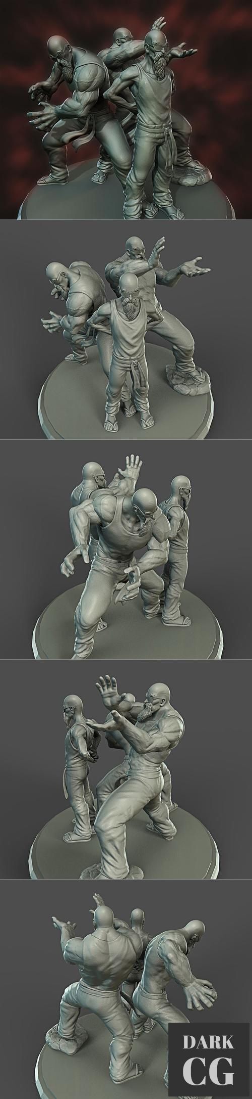 Maestro Roshi – 3D Print