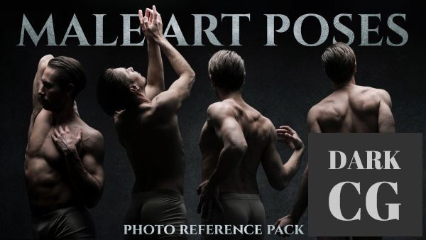 Male Art Poses Photo reference pack for artists 664 JPEGs