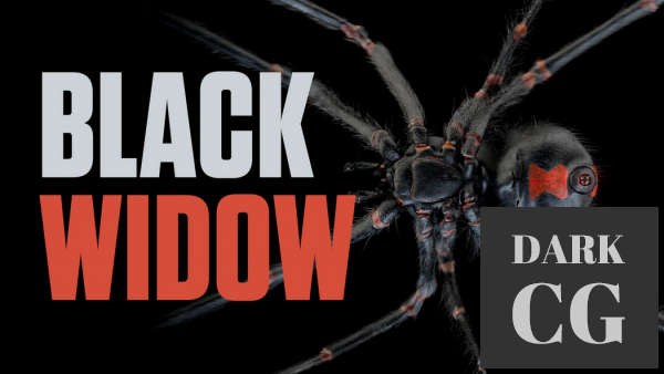Black Widow - Model, Texture, Rig and Animate a Spider in Cinema 4D