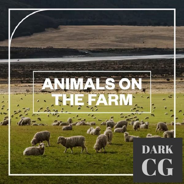 Blastwave FX Animals on the Farm