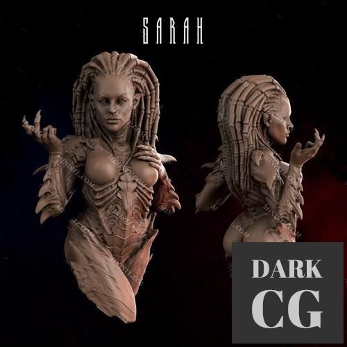 Sarah – 3D Print