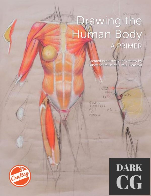 Drawing the Human Body – A Primer (PDF)